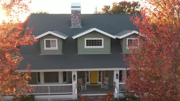 Best Asphalt Shingle Roofing  in Manistee, MI