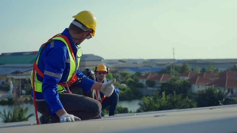 Best Steel Roofing  in Manistee, MI