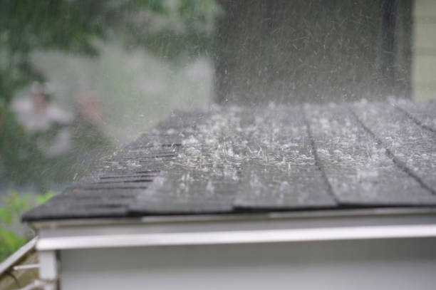 Best Rubber Roofing (EPDM, TPO)  in Manistee, MI