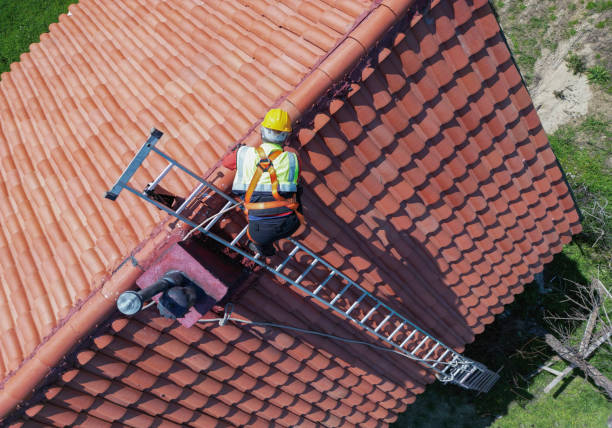 Best Asphalt Shingles Roofing  in Manistee, MI