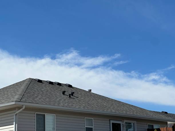 Best Sheet Metal Roofing  in Manistee, MI
